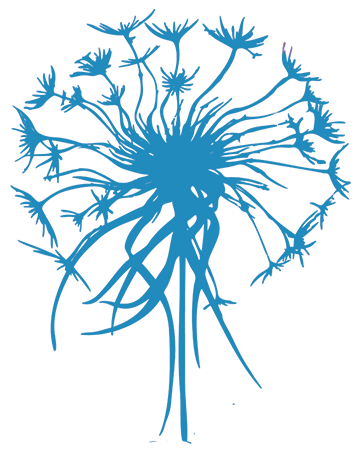 logo-png-access